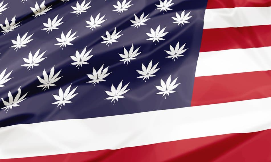 El crecimiento de la industria cañamera en Estados Unidos y la importancia de un marco legal definitivo