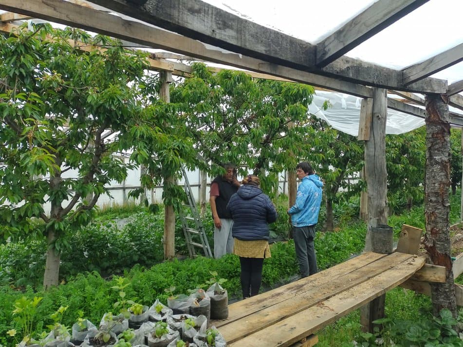 La Federación Cannábica Bonaerense busca fortalecer la industria del Cannabis en la Provincia de Tierra del Fuego